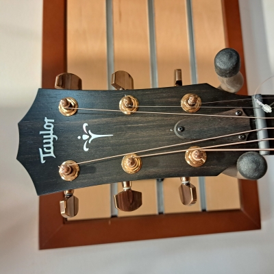 Taylor Guitars - 724CE 3